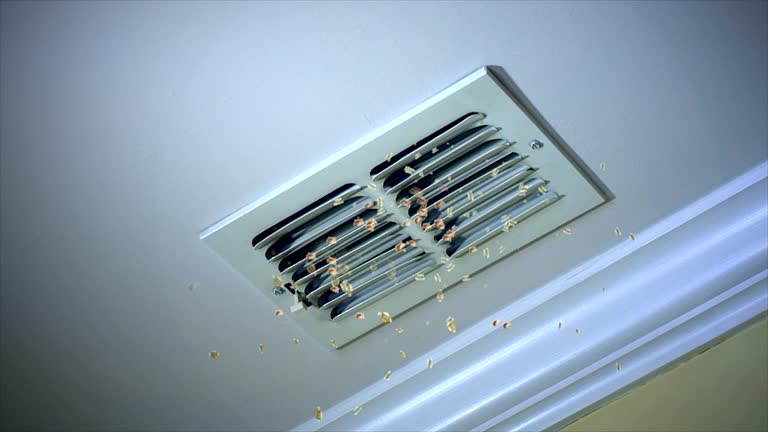 Best Affordable Air Duct Cleaning  in Sheridan, WY