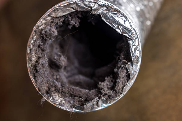 Best HVAC Duct Inspection Services  in Sheridan, WY